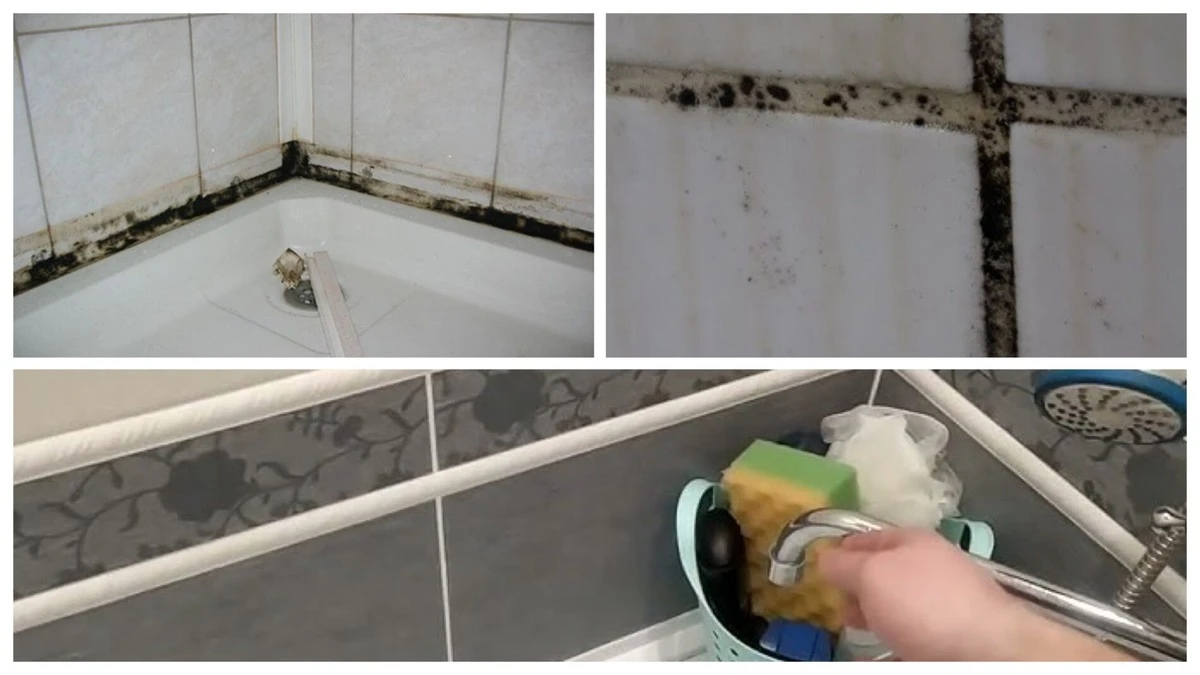 Trik s octem a kyselinou citronovou, který zničí černou plíseň na spárách