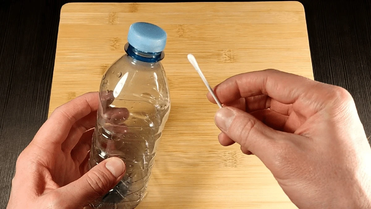 Rostliny se samy zalévají s lahví a vatovou tyčinkou: Geniální trik za 5 minut