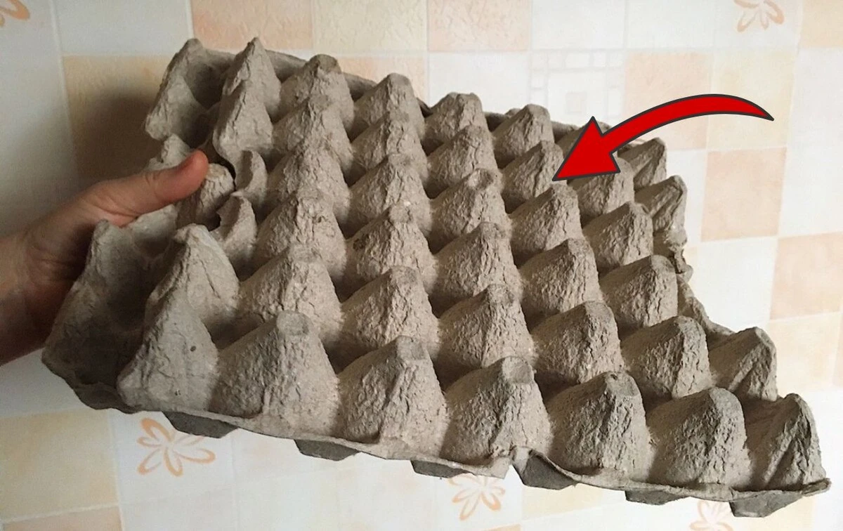 Tenhle trik s kartonem od vajec z Albertu zachrání vaši domácnost