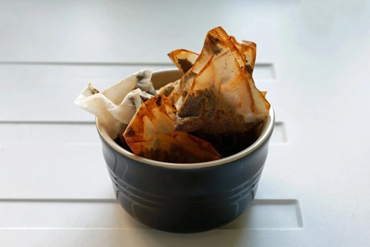 12 rostlin, které ocení použité čajové sáčky: Neházejte je do koše! - image 1