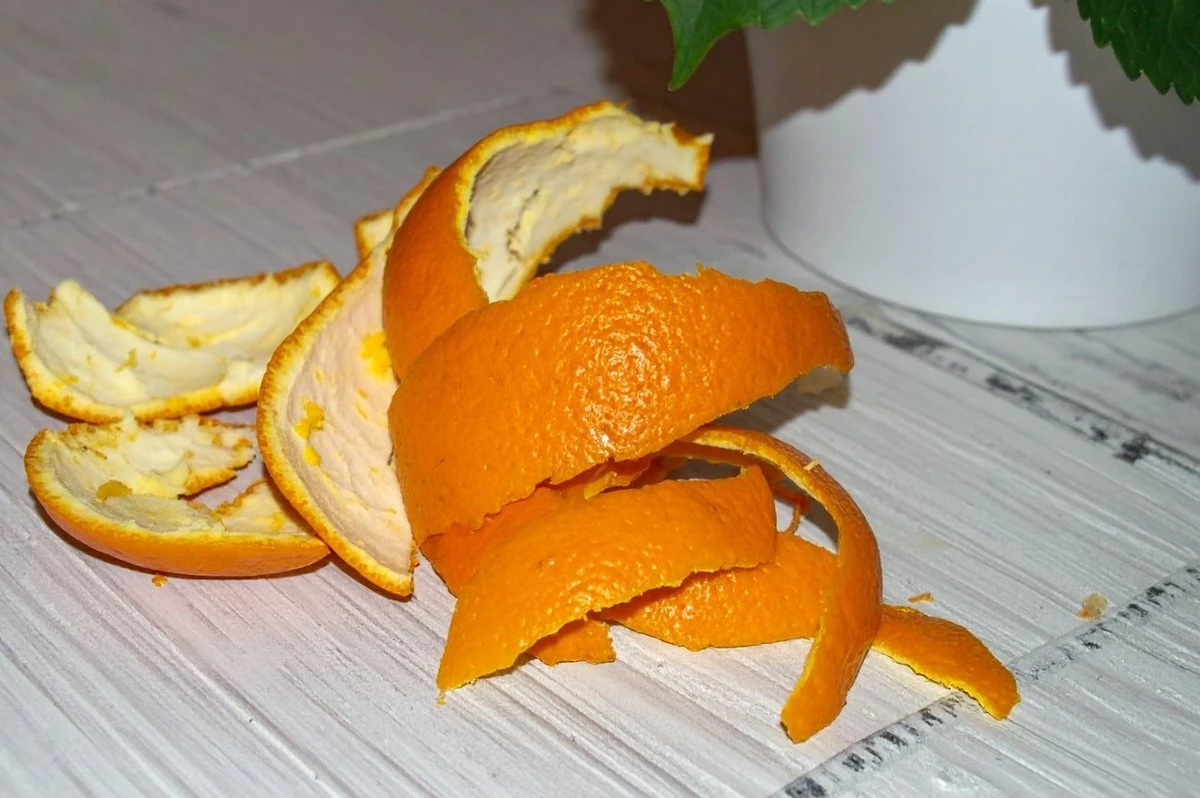 Po zimní úspoře: Tato domácí "kyselá" z citrusů rozproudí vaši hortenzii k explozivnímu růstu