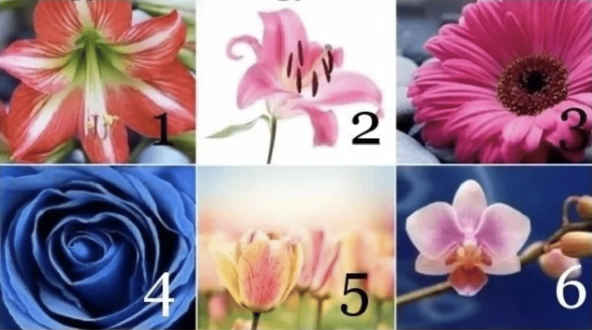 Nezahazujte staré noviny: 10 překvapivých triků pro vaši domácnost