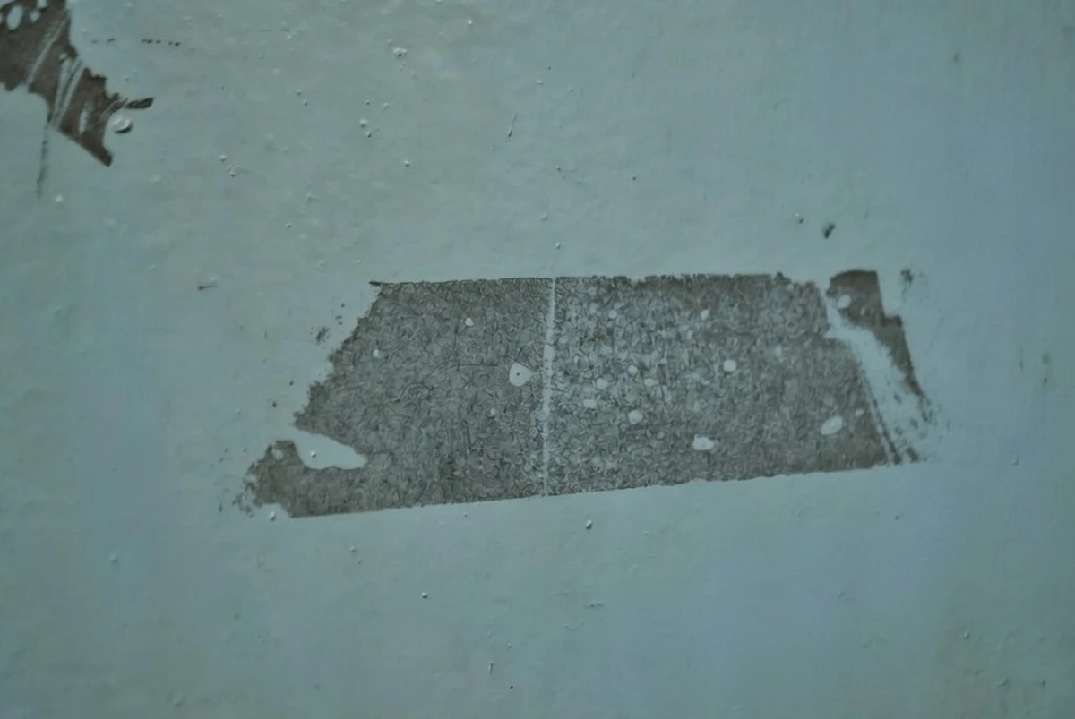 Следы от скотча исчезнут без следа: рабочие методы очистки поверхностей