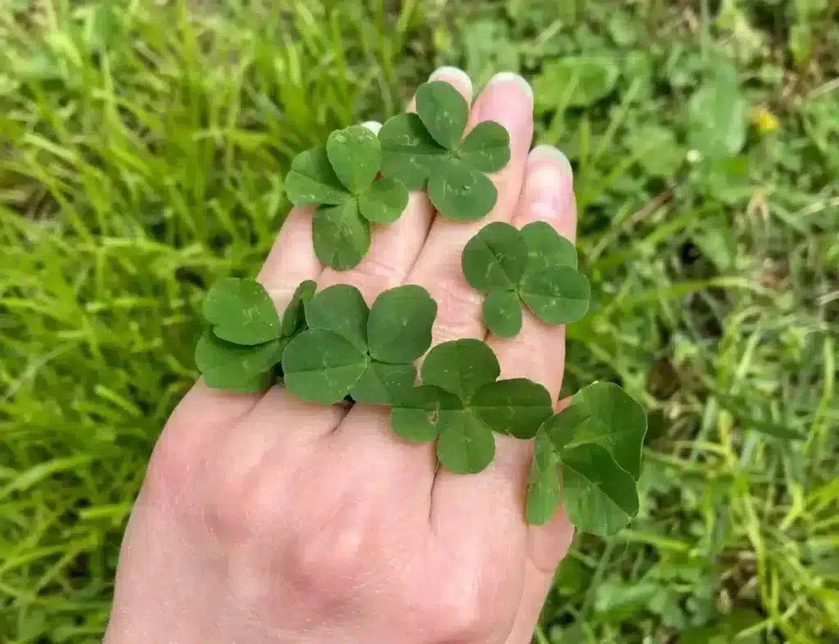 Sedm znamení zvěrokruhu čeká nebeské požehnání tento týden: Neočekávané štěstí je na cestě