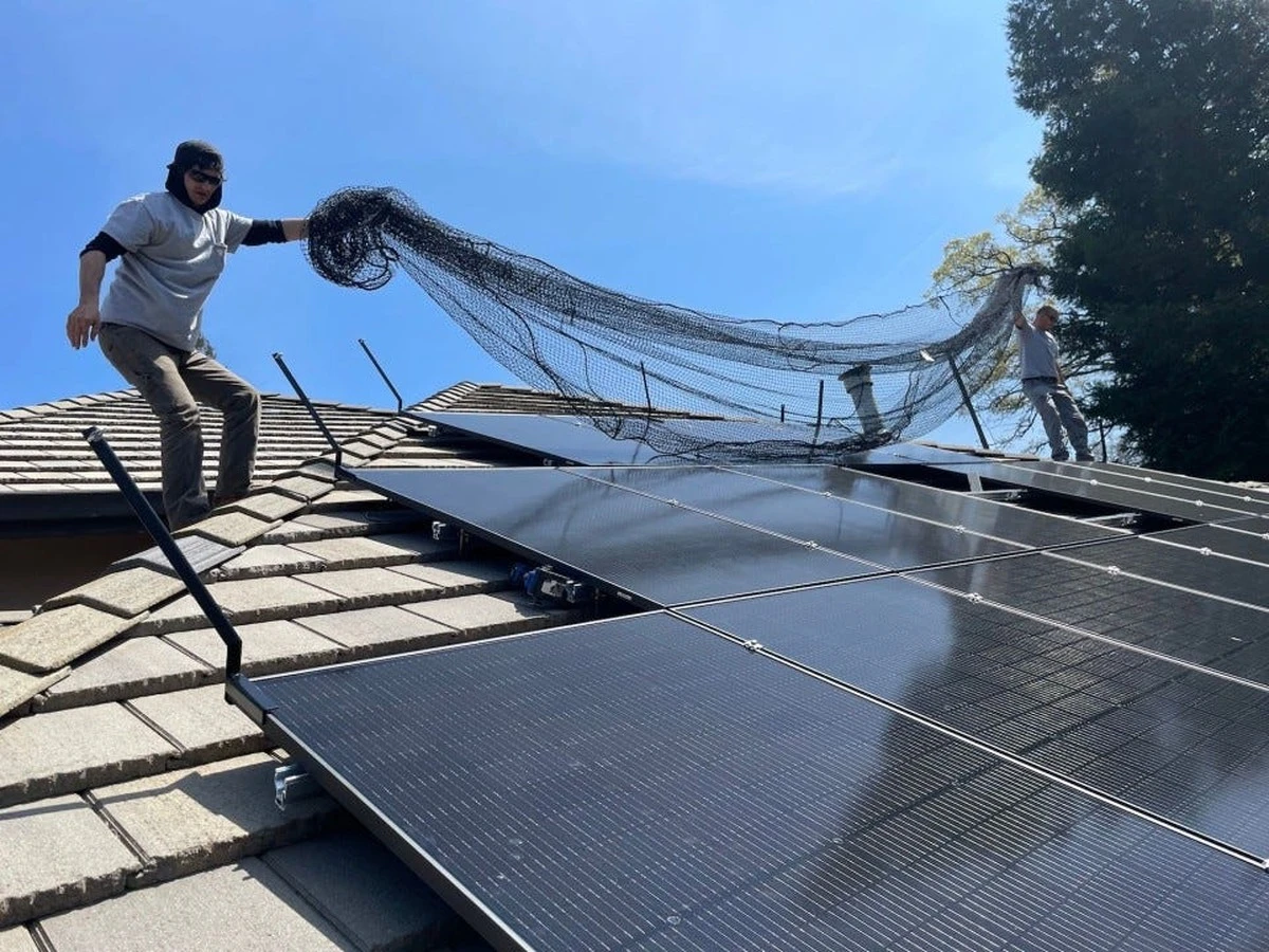 Ochrana solárních panelů: Kouzlo z cibule, které sníží přehřívání a prodlouží životnost - image 1