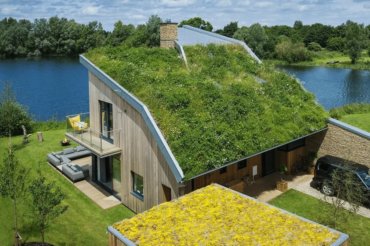 Můj domov voní jako levandulový háj a bez hmyzu. Triku mé babičky s alobalem jsem se smála, teď ho nedám z ruky - image 1