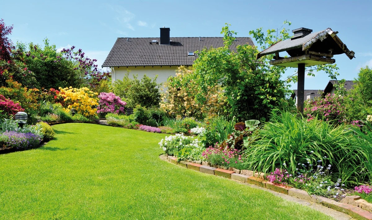 procsypatvapnop-extra-1.webp Proč sypat vápno pod švestku a proč to funguje: Triky zkušených zahrádkářů - image 1