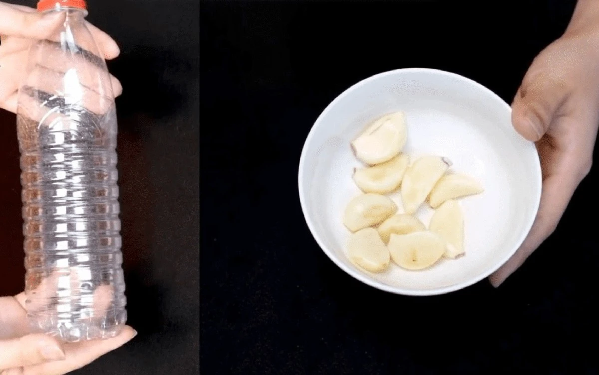 Zapomeňte na struhadlo: Jak oloupat a rozmačkat česnek za 1 minutu s obyčejnou PET lahví