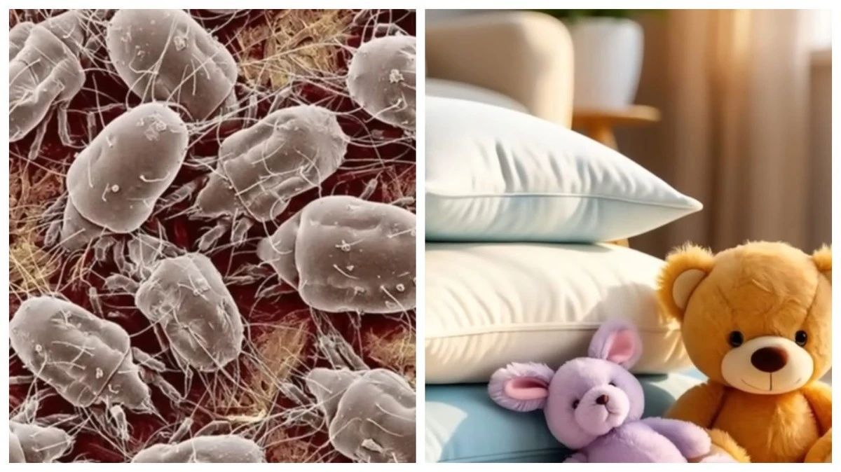 Jak využít mráz pro dokonale čistou a dezinfikovanou domácnost: 5 věcí, které si o to říkají