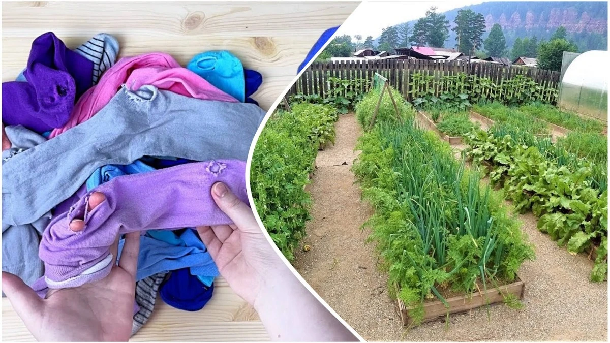 Proč už nevyhazuji děravé ponožky: 4 nečekané způsoby, jak je znovu využít doma i na zahradě