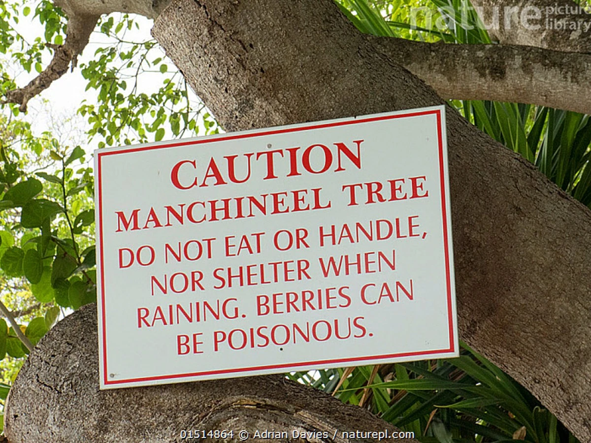 3varovnesignaly-extra-1.webp 3 varovné signály, které naznačují toxické banány. Rodiče by si je neměli kupovat ani v akci - image 1