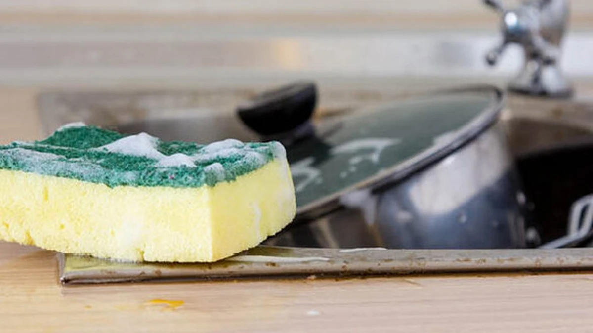 Co dělat se starými houbičkami: 3 překvapivé způsoby, jak je znovu využít doma - image 1