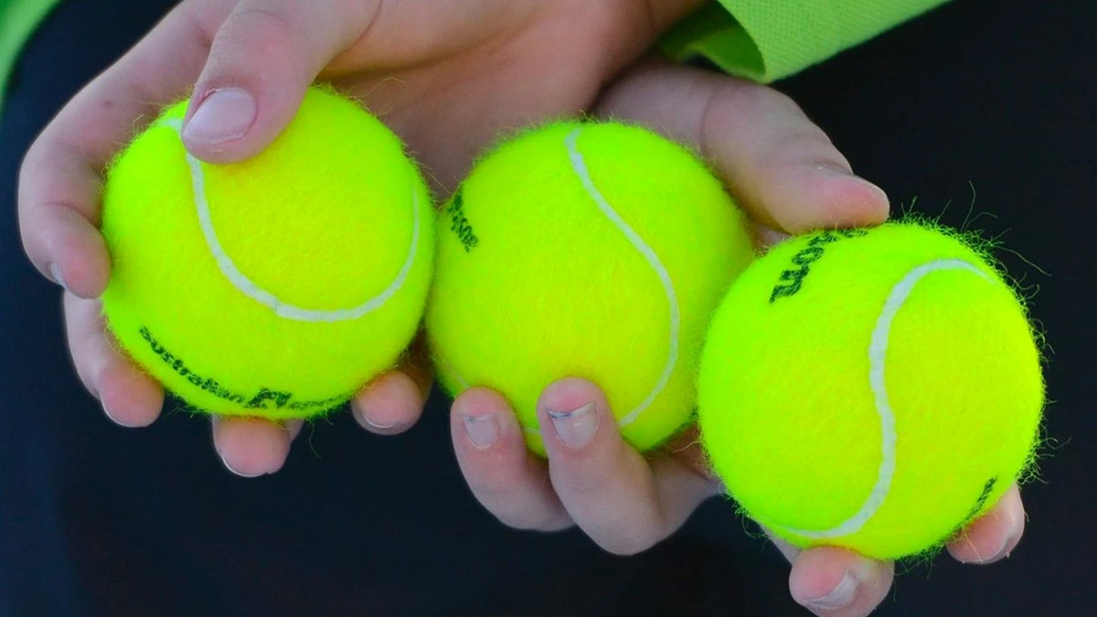 Proč slepice přestaly snášet vejce: vložte do hnízda tenisový míček a uvidíte rozdíl - image 1