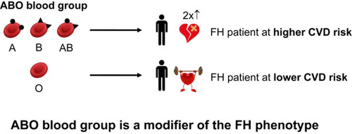 Váš krevní typ může prozradit riziko mrtvice: 3 důvody, proč si to všímat - image 1