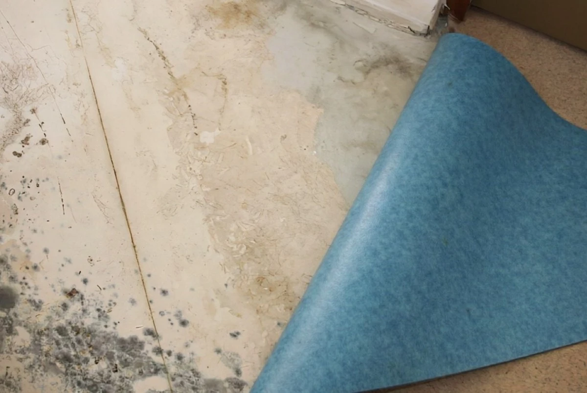 Pryč s plísní pod linoleem: 5 kroků k suché podlaze bez řemeslníka