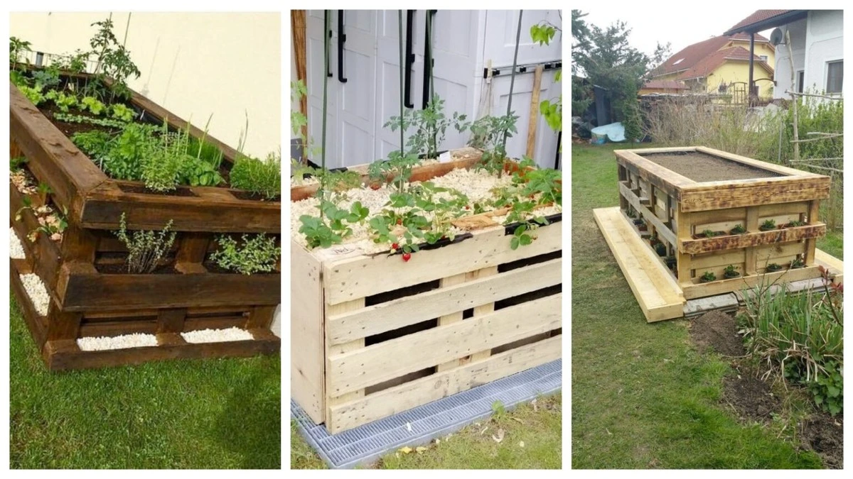 Proč zednáři dávají dřevěné palety na dno záhonů