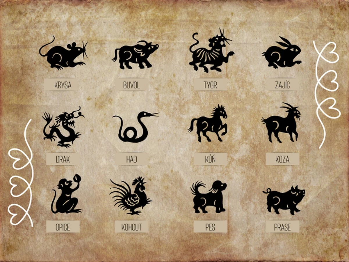 Tato 4 znamení zvěrokruhu jsou milována zvířaty – Vyzkoušejte je. - image 1