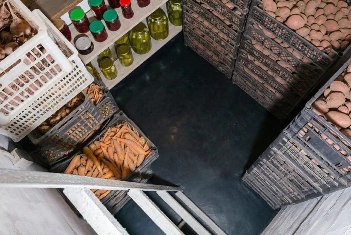 Jak se zbavit zatuchliny v sklepě bez drahé chemie: ověřený postup pro suchý vzduch a svěží skladování