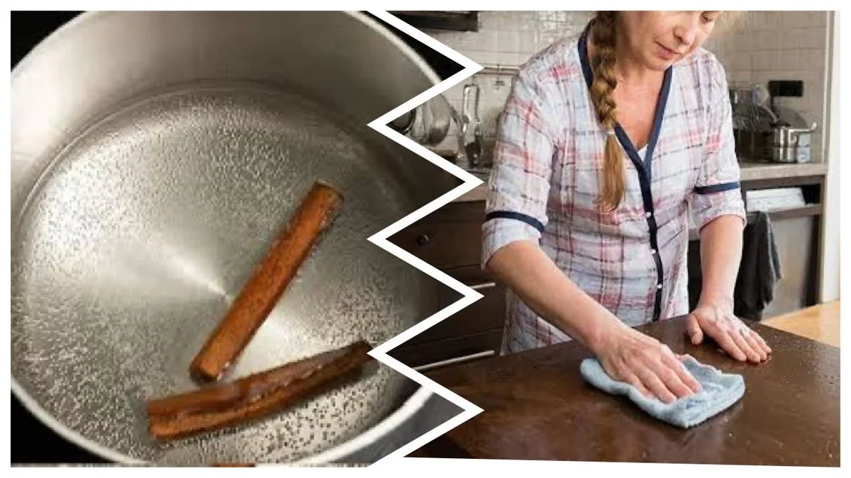 Parfuméři znají tajemství: Jednoduchý trik s кориicí a octem zbaví váš byt pachů (a nejen to!)