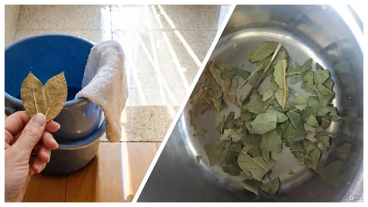 Jedlá ingredience pro voňavý domov: Zapomeňte na drahé osvěžovače