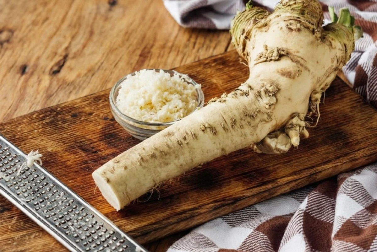 Chyťte si: 5 překvapivých důvodů, proč je křen vaším novým nejlepším přítelem