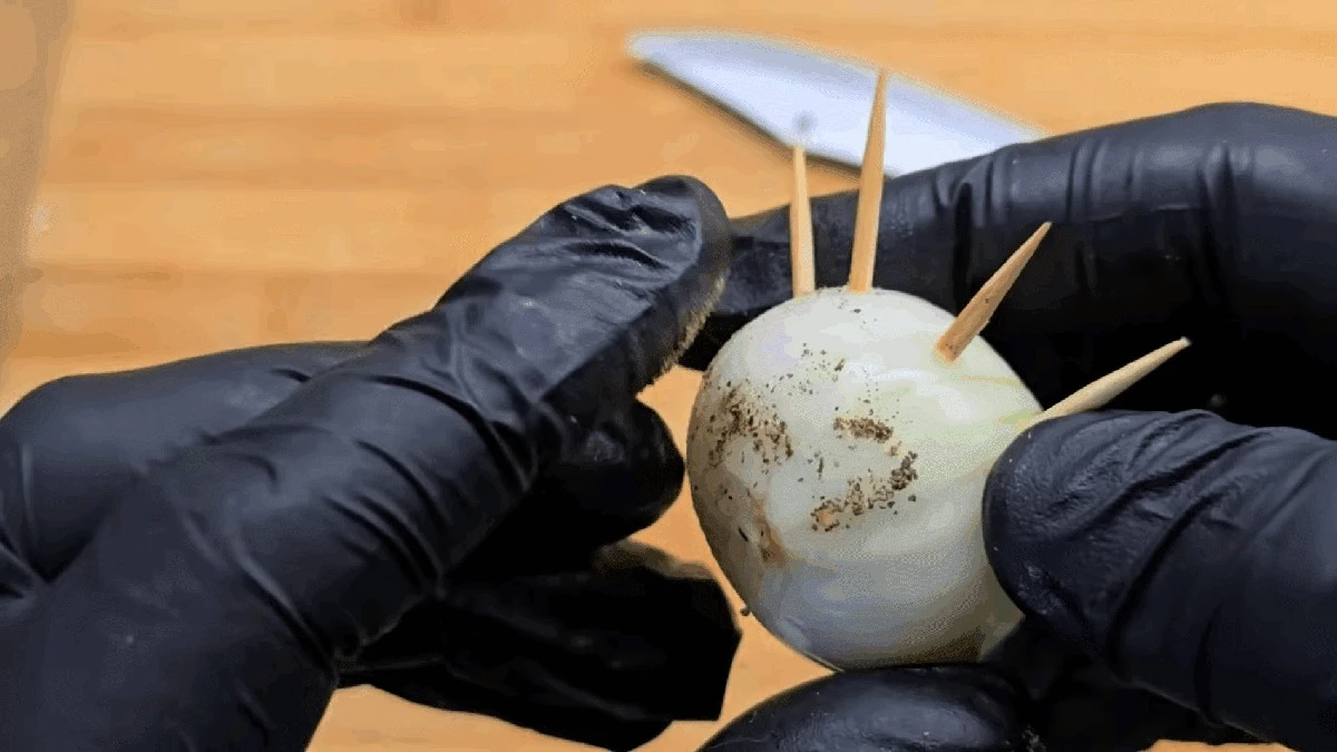 Proč držím párátka v kuchyni: trik na dlouho čerstvou zeleninu i uzeniny