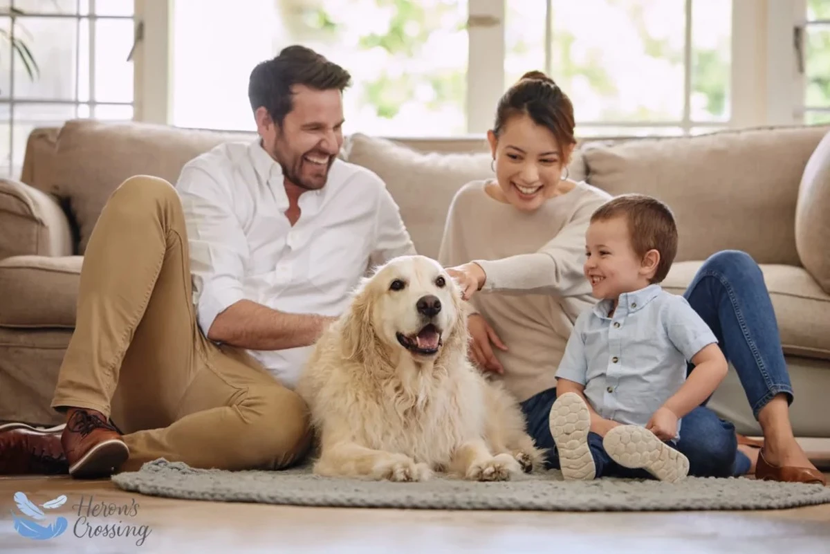 7vecikteredelat-extra-1.webp 7 věcí, které děláte každý den, kvůli kterým se pes cítí odstrčený - image 1