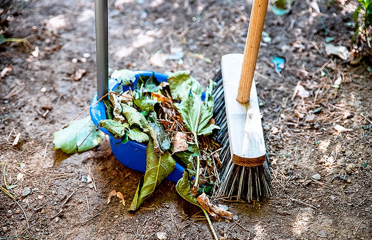 Ovesné vločky na zahradě? Zasadnicí techniky, které připraví půdu před zimou - image 1