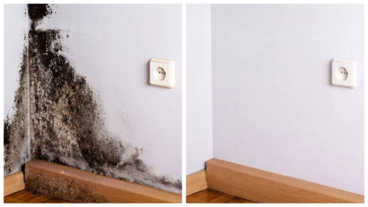 Voskovka za nábytkem: Jak ji odstranit přírodně a bez chloru