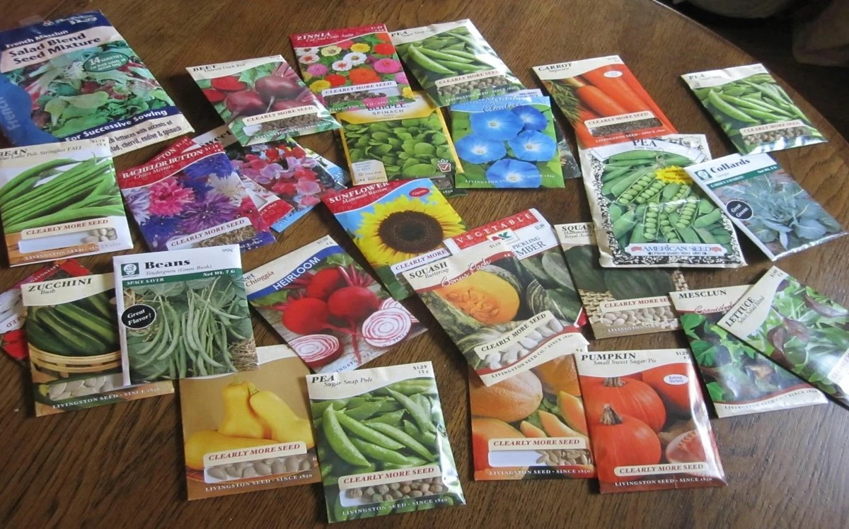 5 nezpochybnitelných pravidel pro nákup osiva a nezničení úrody