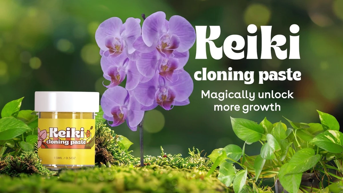 Proč kytky milují zubní pastu: tajný trik pro bujné květy - image 1