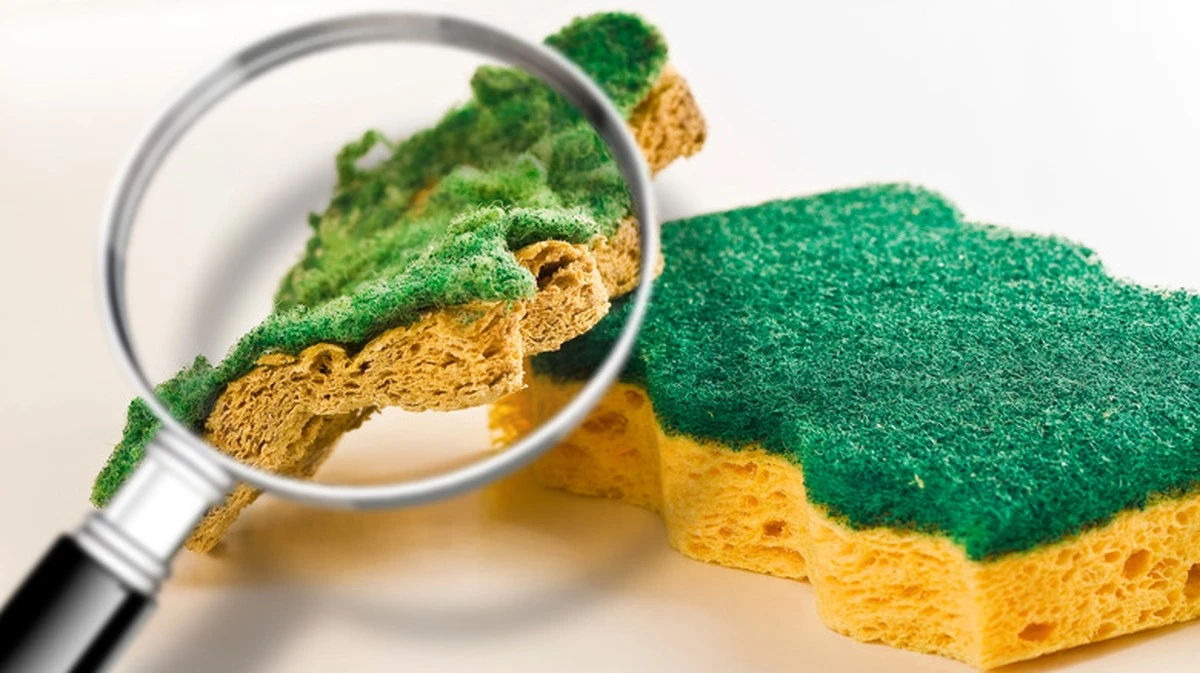 Houbička v lednici: Proč moje tchýně dělala něco nečekaného a jak jsem na to přišla - image 1