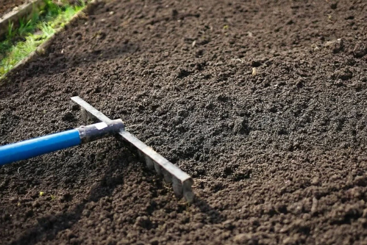 Proč je půda jako živý organismus: 5 nenápadných známek, že čeká na vaše rostliny