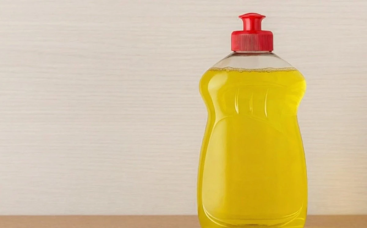 Proč zkušení stavitelé přidávají do betonu jar: jednoduchý trik pro pevné základy