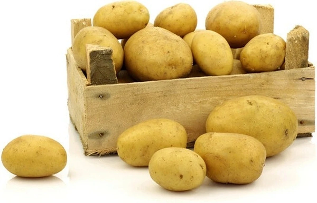 lamteneboponech-extra-1.webp Lamte, nebo ponechat klíčky na sadbových bramborách: jednoduchá odpověď na otázku, která trápí mnoho zahrádkářů - image 1