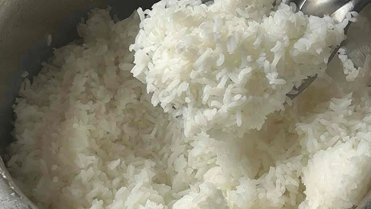 Jíme plast denně, aniž bychom si to uvědomili: Tyto potraviny jsou největšími viníky